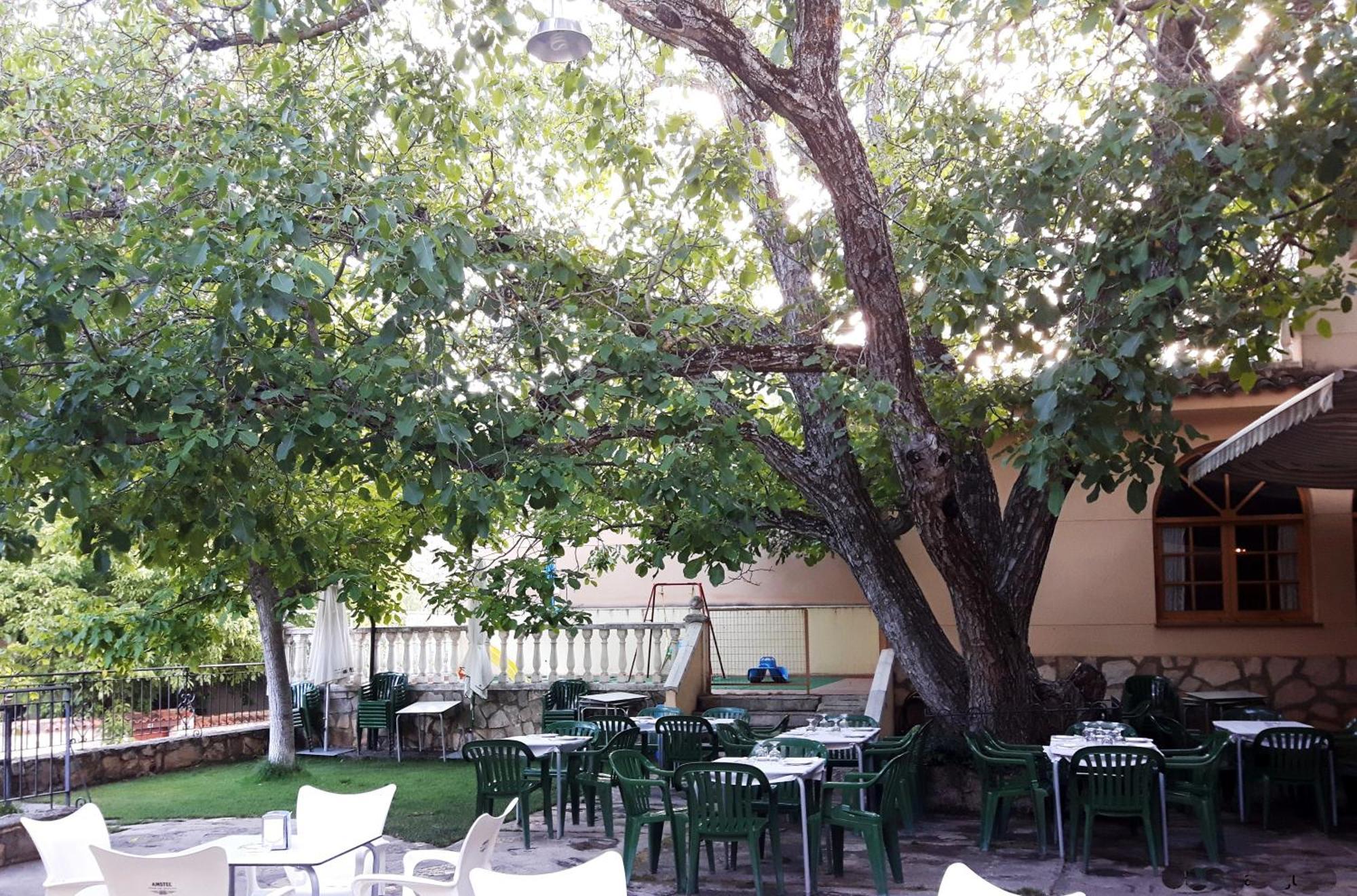La Noguera Hotel Palomera Екстериор снимка
